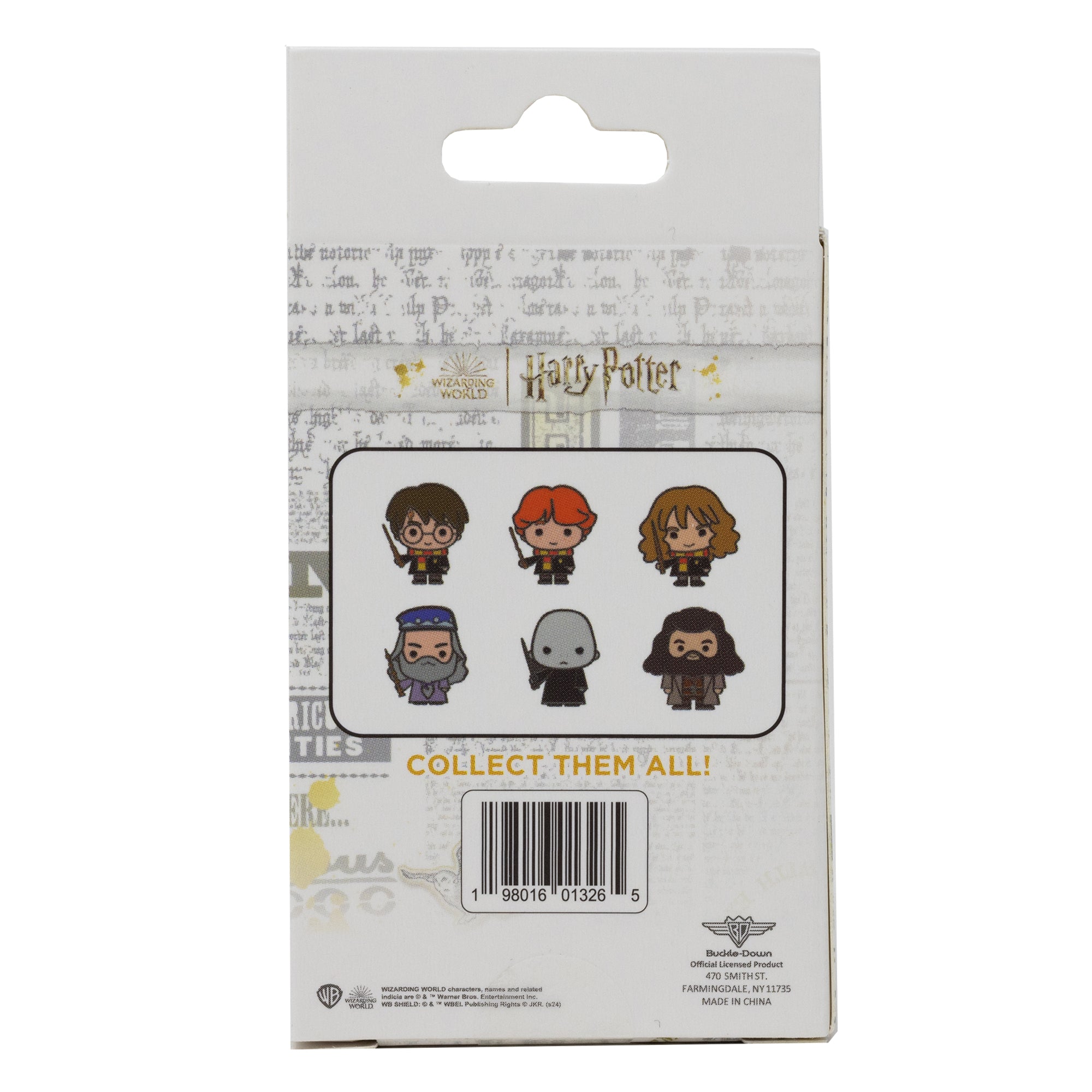 Harry Potter Blind-Box Collectable Pins